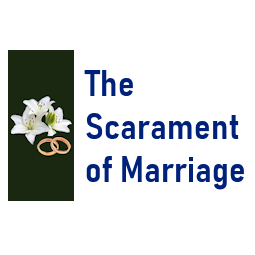 Sacrament of Marriage Video